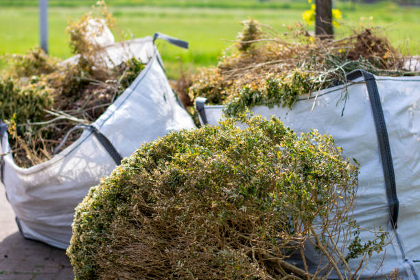 Best Commercial Junk Removal  in Petersburg, WV